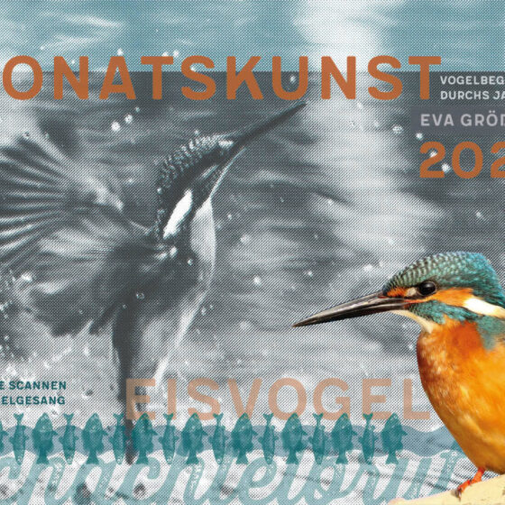 Vogelkalender_2023_Titelbild mit Eisvogel